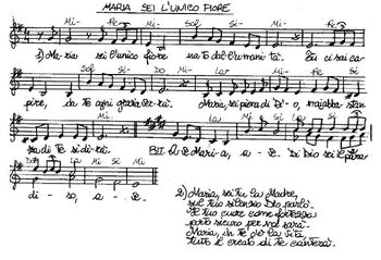 Pré-visualização da pauta